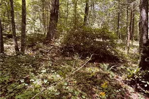 6835 Nc 183 Hwy, Newland, NC 28657 - Photo 32