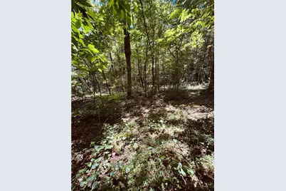 6835 Nc 183 Highway, Newland, NC 28657 - Photo 28