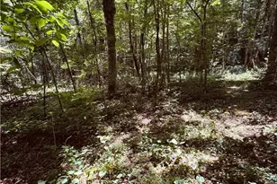 6835 Nc 183 Hwy, Newland, NC 28657 - Photo 28
