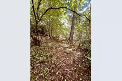 6835 Nc 183 Highway, Newland, NC 28657 - Photo 34