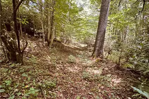 6835 Nc 183 Hwy, Newland, NC 28657 - Photo 34