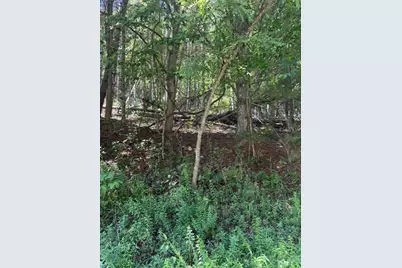 Tbd Chestnut Creek Road, West Jefferson, NC 28694 - Photo 6