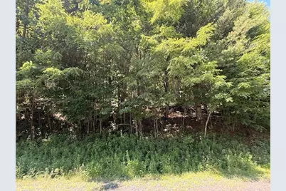Tbd Chestnut Creek Road, West Jefferson, NC 28694 - Photo 10