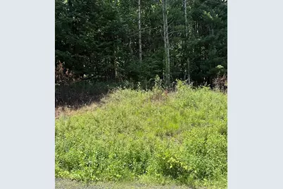 Tbd Chestnut Creek Road, West Jefferson, NC 28694 - Photo 2