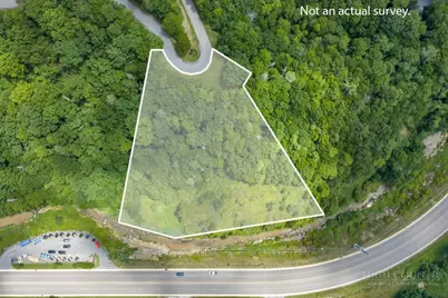 Lot 134 Tbd Firethorn Trail, Blowing Rock, NC 28605 - Photo 6