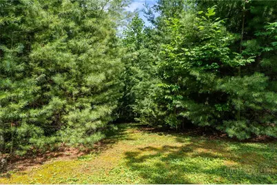 9081 Pittmans Gap Road, Newland, NC 28657 - Photo 40