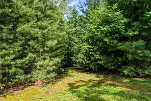 9081 Pittmans Gap Rd, Newland, NC 28657 - Photo 40
