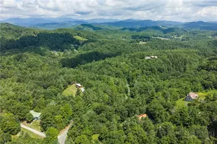 9081 Pittmans Gap Rd, Newland, NC 28657 - Photo 48