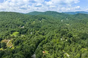 9081 Pittmans Gap Rd, Newland, NC 28657 - Photo 46
