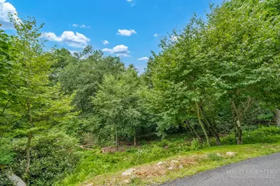 Tbd Stack Rock Way, Blowing Rock, NC 28605 - Photo 6