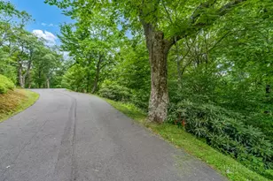 Lot 220 Tbd Stack Rock Way, Blowing Rock, NC 28605 - Photo 1