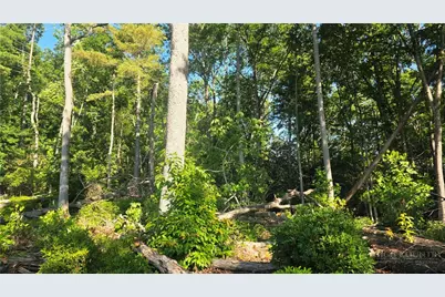 Lot 122 Pine Tree Drive, Spruce Pine, NC 28777 - Photo 2