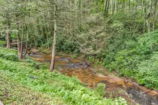 166 Charlie Hicks Rd, Banner Elk, NC 28604 - Photo 6