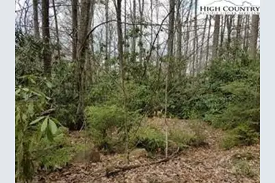Tbd Red Clover Road, Beech Mountain, NC 28604 - Photo 2
