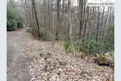 Tbd Red Clover Road, Beech Mountain, NC 28604 - Photo 4