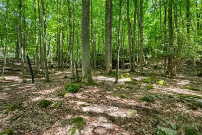 135 Teaberry Trail, Beech Mountain, NC 28604 - Photo 42