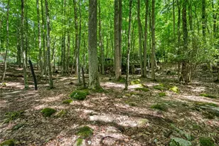 135 Teaberry Trail, Beech Mountain, NC 28604 - Photo 42