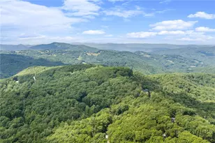 135 Teaberry Trail, Beech Mountain, NC 28604 - Photo 32