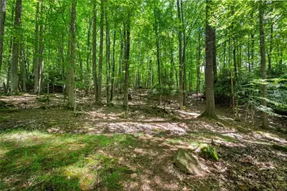 135 Teaberry Trail, Beech Mountain, NC 28604 - Photo 40