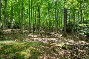 135 Teaberry Trail, Beech Mountain, NC 28604 - Photo 40