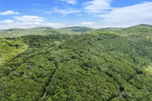 135 Teaberry Trail, Beech Mountain, NC 28604 - Photo 28