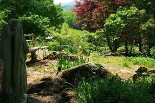853 Cox Rd, Jefferson, NC 28640 - Photo 16