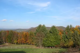 853 Cox Rd, Jefferson, NC 28640 - Photo 32