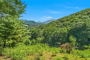 381 Yellow Bear Rd, Todd, NC 28684 - Photo 46