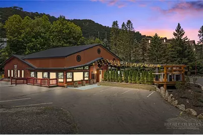 1003 Beech Mountain Parkway, Beech Mountain, NC 28604 - Photo 44