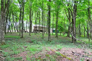 463 Fairview Church Rd, Lansing, NC 28643 - Photo 42