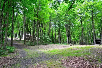 463 Fairview Church Road, Lansing, NC 28643 - Photo 44