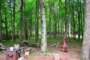 463 Fairview Church Rd, Lansing, NC 28643 - Photo 4