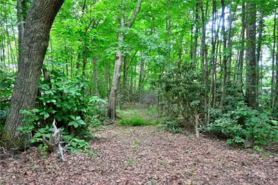 463 Fairview Church Road, Lansing, NC 28643 - Photo 44
