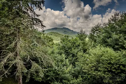 230 Hawks Bill Drive, Banner Elk, NC 28604 - Photo 10