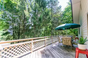 743 Little Laurel Rd Ext, Boone, NC 28607 - Photo 36