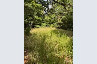 79 Elk Horn Road, Ferguson, NC 28624 - Photo 8