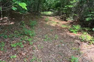 79 Elk Horn Rd, Ferguson, NC 28624 - Photo 1
