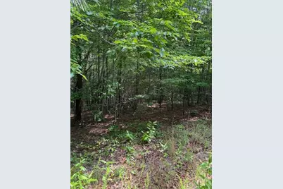 79 Elk Horn Road, Ferguson, NC 28624 - Photo 10