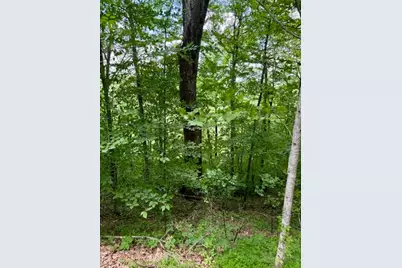 Lot 19 Clear Waters Edge Estate, Creston, NC 28615 - Photo 14