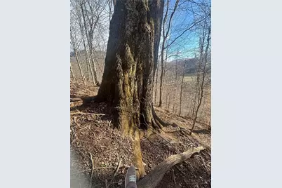 Lot 19 Clear Waters Edge Estate, Creston, NC 28615 - Photo 28