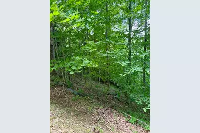 Lot 19 Clear Waters Edge Estate, Creston, NC 28615 - Photo 8