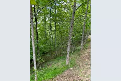 Lot 19 Clear Waters Edge Estate, Creston, NC 28615 - Photo 10