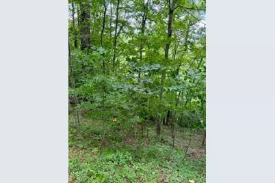 Lot 19 Clear Waters Edge Estate, Creston, NC 28615 - Photo 12