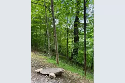 Lot 19 Clear Waters Edge Estate, Creston, NC 28615 - Photo 18