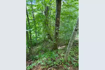 Lot 19 Clear Waters Edge Estate, Creston, NC 28615 - Photo 6