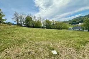 384 Clear Branch Dr, West Jefferson, NC 28694 - Photo 44
