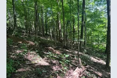 Tbd Alida Court, Boone, NC 28607 - Photo 10