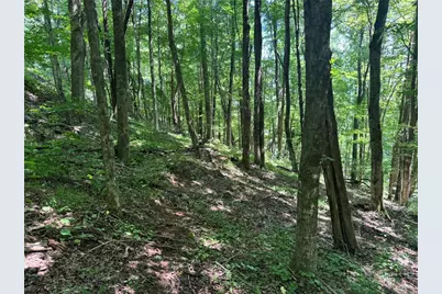 Tbd Alida Court, Boone, NC 28607 - Photo 6