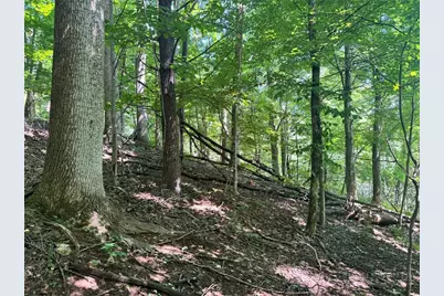 Tbd Alida Court, Boone, NC 28607 - Photo 12