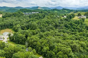 512 Poplar Grove Rd, Boone, NC 28607 - Photo 42